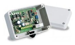 Came 806SL 0230 Telecomando cancello - Telecomando Express